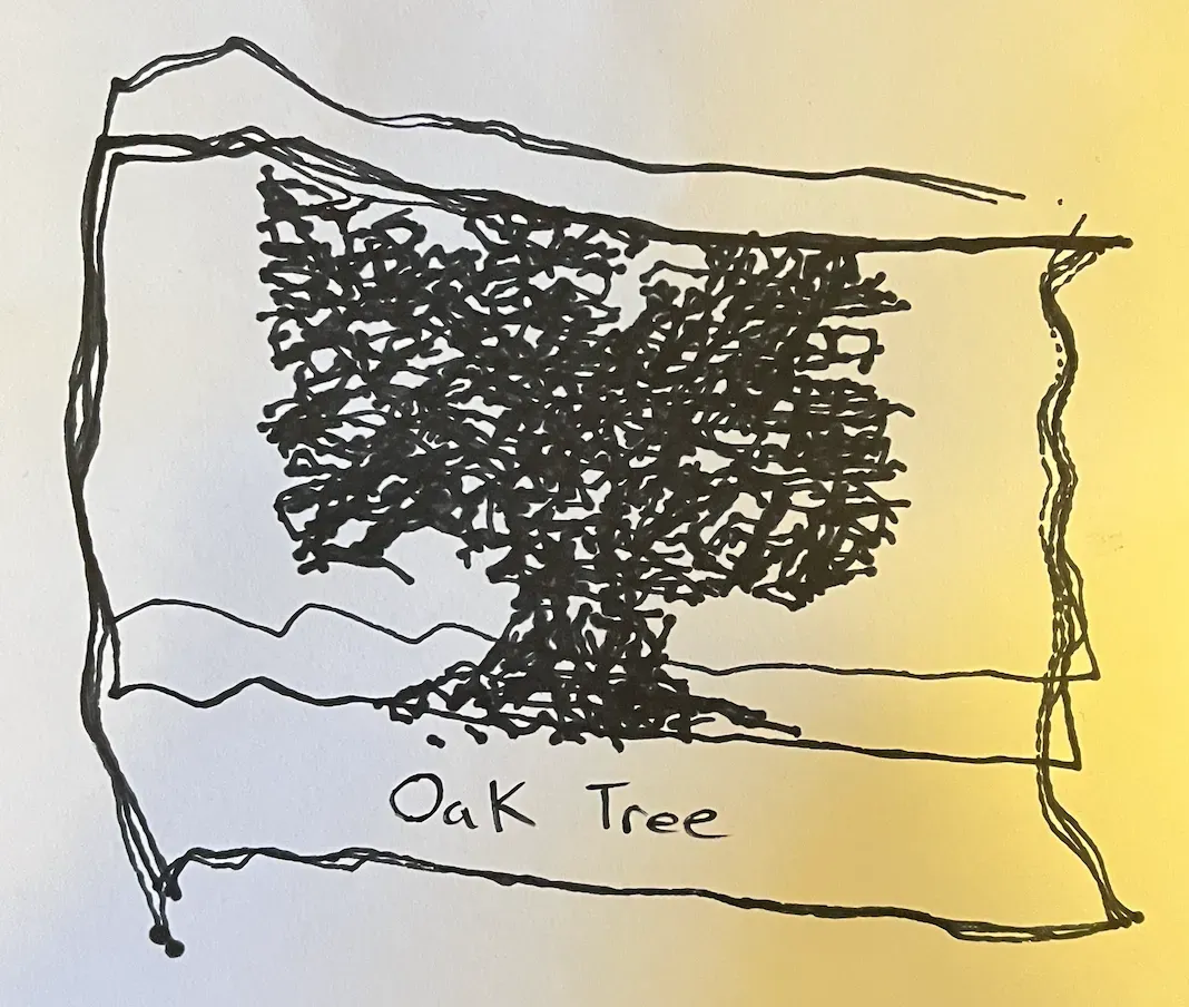 The first test of generating an oak tree.